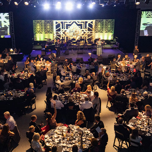 Gala of Stars event